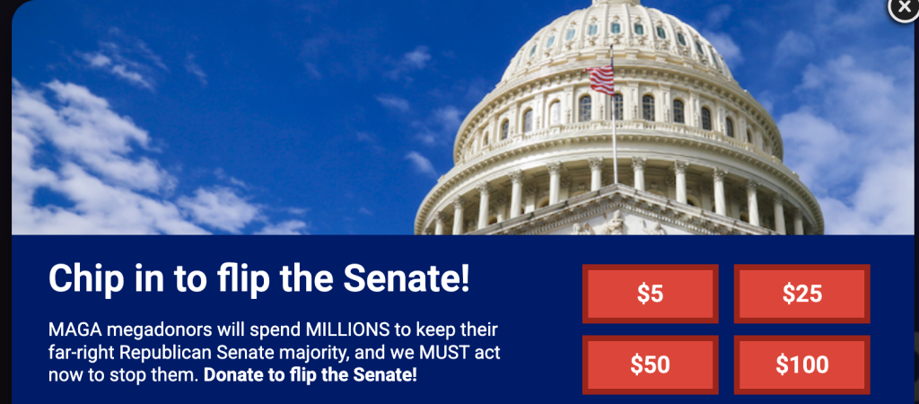 DONATE DIRECTLY TO DEMOCRATIC SENATORIAL CAMPAIGN COMMITTEE